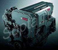    Cummins, 