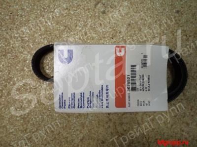 3028521   cummins m11, qsm11, ism,