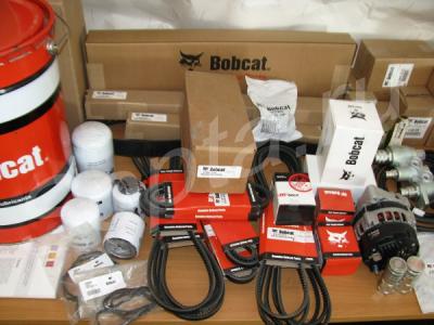   Bobcat